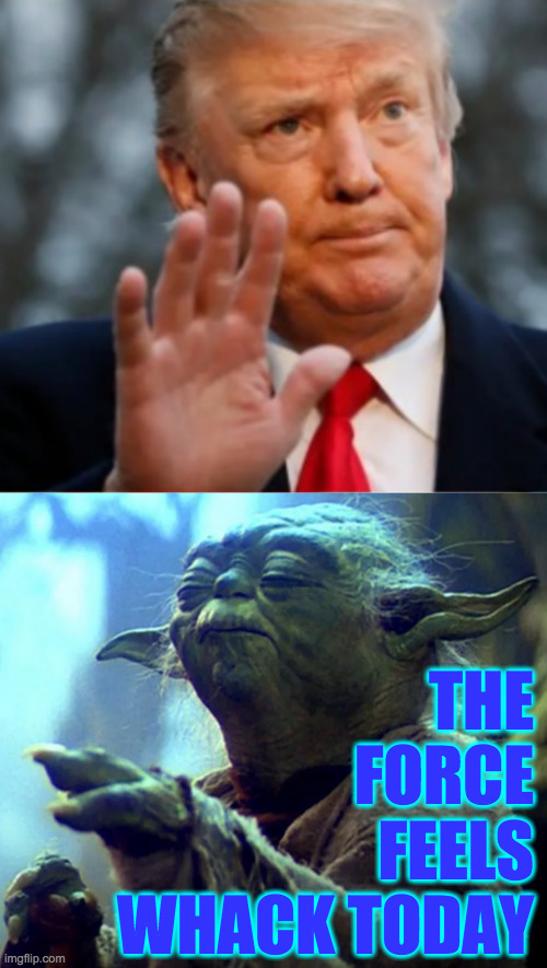 Spin-off of a Manhattan meme | THE FORCE
FEELS
WHACK TODAY | image tagged in memes,trump,whack | made w/ Imgflip meme maker