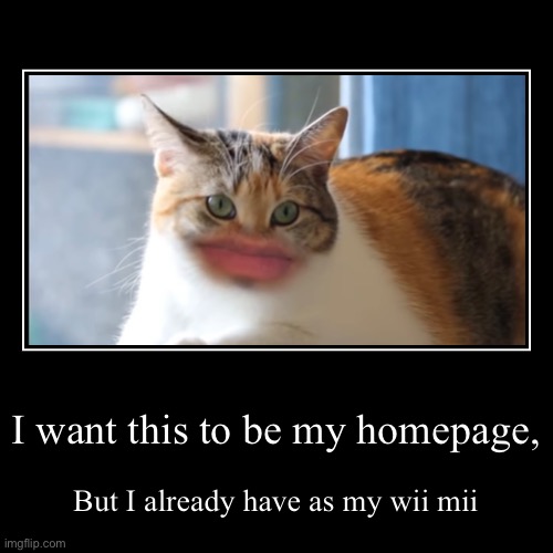 Mr cat | image tagged in funny,demotivationals | made w/ Imgflip demotivational maker