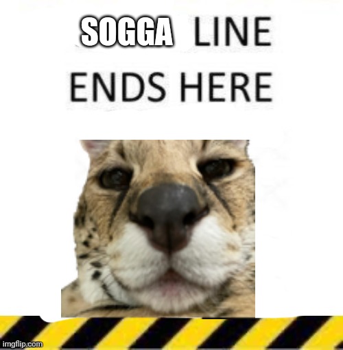 SOGGA | made w/ Imgflip meme maker