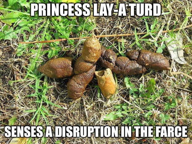 PRINCESS LAY-A TURD SENSES A DISRUPTION IN THE FARCE | image tagged in dog turd | made w/ Imgflip meme maker