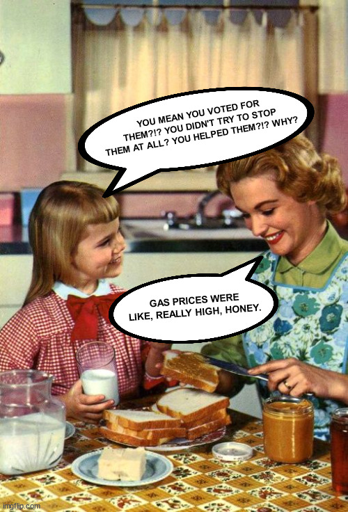 Vintage Mom and Daughter | YOU MEAN YOU VOTED FOR THEM?!? YOU DIDN'T TRY TO STOP THEM AT ALL? YOU HELPED THEM?!? WHY? GAS PRICES WERE LIKE, REALLY HIGH, HONEY. | image tagged in vintage mom and daughter | made w/ Imgflip meme maker