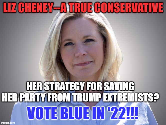 Save our Democracy!  Don't vote for the Tangerine Traitor's "Election Deniers." | LIZ CHENEY--A TRUE CONSERVATIVE; HER STRATEGY FOR SAVING HER PARTY FROM TRUMP EXTREMISTS? VOTE BLUE IN '22!!! | image tagged in politics | made w/ Imgflip meme maker