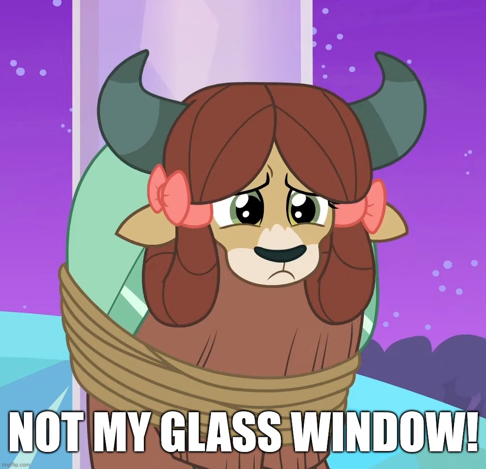 NOT MY GLASS WINDOW! | made w/ Imgflip meme maker