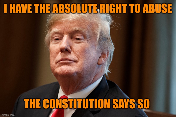 I HAVE THE ABSOLUTE RIGHT TO ABUSE THE CONSTITUTION SAYS SO | image tagged in trump | made w/ Imgflip meme maker