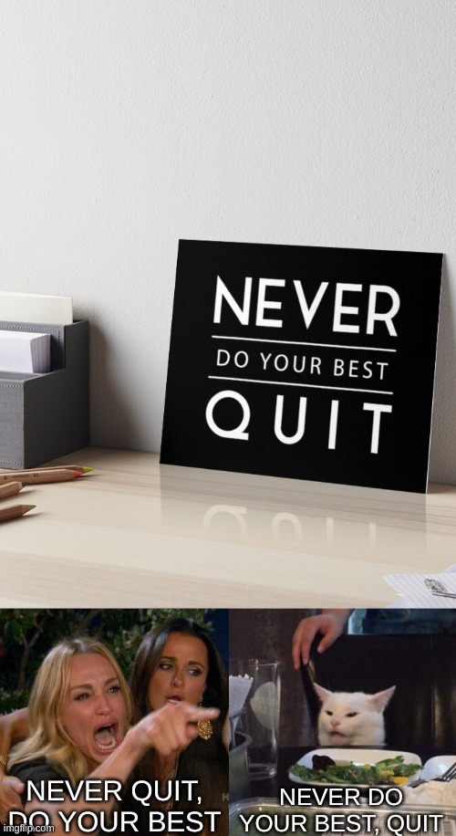 bruh | NEVER QUIT, DO YOUR BEST; NEVER DO YOUR BEST, QUIT | image tagged in woman yelling at cat | made w/ Imgflip meme maker