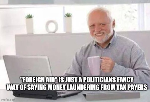 1984 |  "FOREIGN AID" IS JUST A POLITICIANS FANCY WAY OF SAYING MONEY LAUNDERING FROM TAX PAYERS | image tagged in harold,taxation is theft,republicans,democrats,corruption,tyranny | made w/ Imgflip meme maker