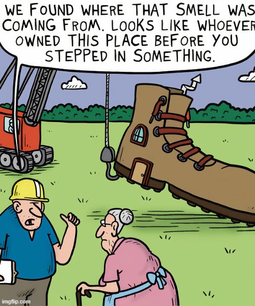 There Was an Old Woma Who Lived in a Shoe... | image tagged in comics | made w/ Imgflip meme maker