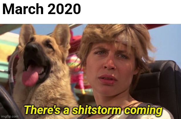 Longest Two Weeks of My Life | March 2020; There's a shitstorm coming | image tagged in pandemic,shitstorm,sarah connor,terminator | made w/ Imgflip meme maker