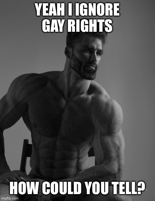 Giga Chad | YEAH I IGNORE GAY RIGHTS HOW COULD YOU TELL? | image tagged in giga chad | made w/ Imgflip meme maker