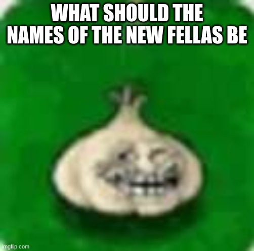 troll garlic | WHAT SHOULD THE NAMES OF THE NEW FELLAS BE | image tagged in troll garlic | made w/ Imgflip meme maker