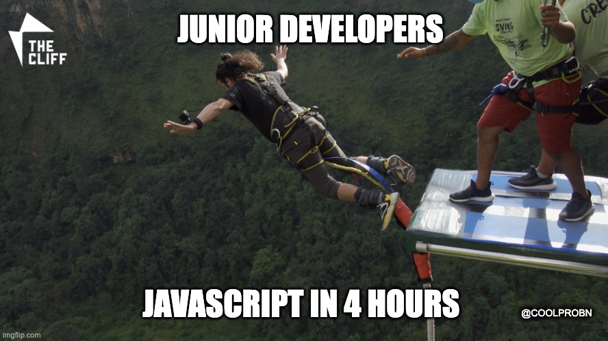 Juniors jumping without thinking when they see "JS in 4 Hours" on Youtube | JUNIOR DEVELOPERS; JAVASCRIPT IN 4 HOURS; @COOLPROBN | image tagged in programming | made w/ Imgflip meme maker