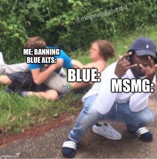 Two guys fighting | ME; BANNING BLUE ALTS:; BLUE:; MSMG: | image tagged in two guys fighting | made w/ Imgflip meme maker