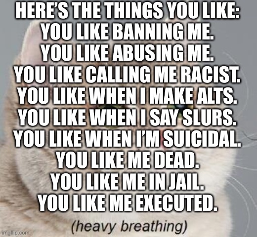 Stop | HERE’S THE THINGS YOU LIKE:

YOU LIKE BANNING ME.
YOU LIKE ABUSING ME.
YOU LIKE CALLING ME RACIST.
YOU LIKE WHEN I MAKE ALTS.
YOU LIKE WHEN I SAY SLURS.
YOU LIKE WHEN I’M SUICIDAL.
YOU LIKE ME DEAD.
YOU LIKE ME IN JAIL.
YOU LIKE ME EXECUTED. | image tagged in memes,heavy breathing cat | made w/ Imgflip meme maker