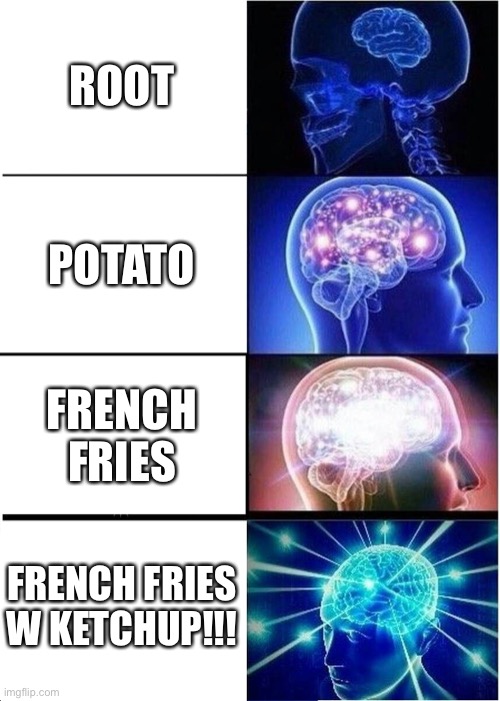 Expanding Brain Meme | ROOT; POTATO; FRENCH FRIES; FRENCH FRIES W KETCHUP!!! | image tagged in memes,expanding brain | made w/ Imgflip meme maker