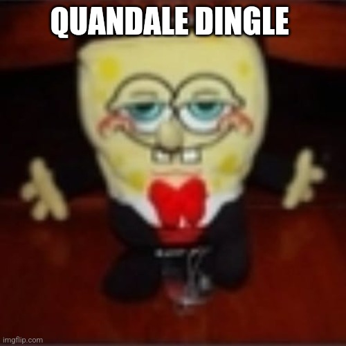 idk.jpg | QUANDALE DINGLE | image tagged in idk jpg | made w/ Imgflip meme maker