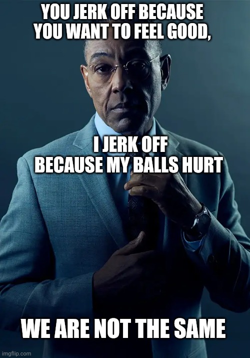 Jerk off | YOU JERK OFF BECAUSE YOU WANT TO FEEL GOOD, I JERK OFF BECAUSE MY BALLS HURT; WE ARE NOT THE SAME | image tagged in we are not the same | made w/ Imgflip meme maker