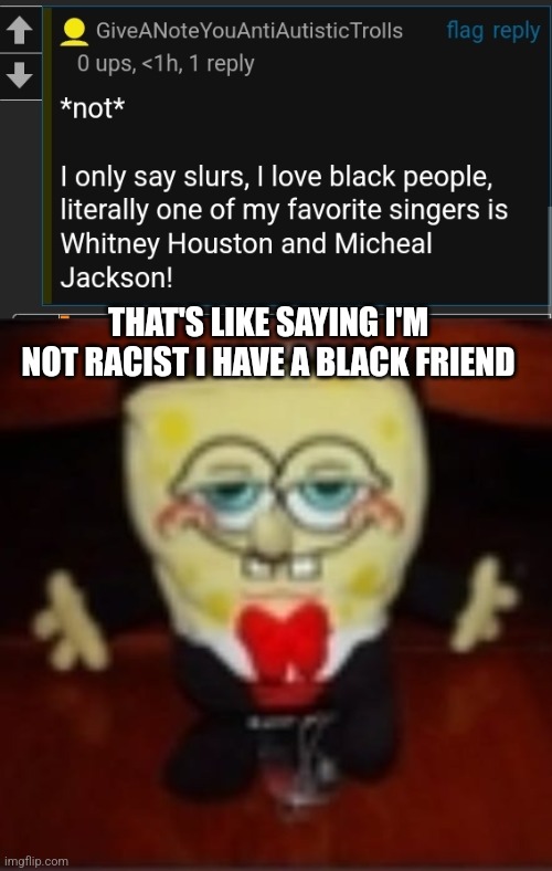 THAT'S LIKE SAYING I'M NOT RACIST I HAVE A BLACK FRIEND | image tagged in idk jpg | made w/ Imgflip meme maker