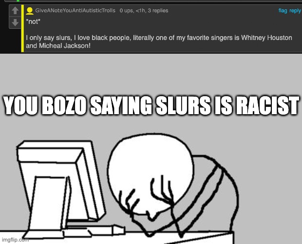 bro that is honetly racist | YOU BOZO SAYING SLURS IS RACIST | image tagged in memes,computer guy facepalm | made w/ Imgflip meme maker