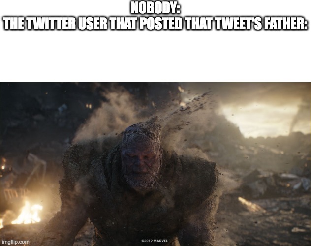 Thanos turns to dust | NOBODY:
THE TWITTER USER THAT POSTED THAT TWEET'S FATHER: | image tagged in thanos turns to dust | made w/ Imgflip meme maker