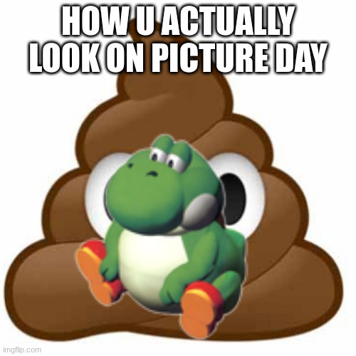 Part 2 Of Picture Day |  HOW U ACTUALLY LOOK ON PICTURE DAY | image tagged in picture day,beeg yoshi,fat yoshi,poop,undrip | made w/ Imgflip meme maker