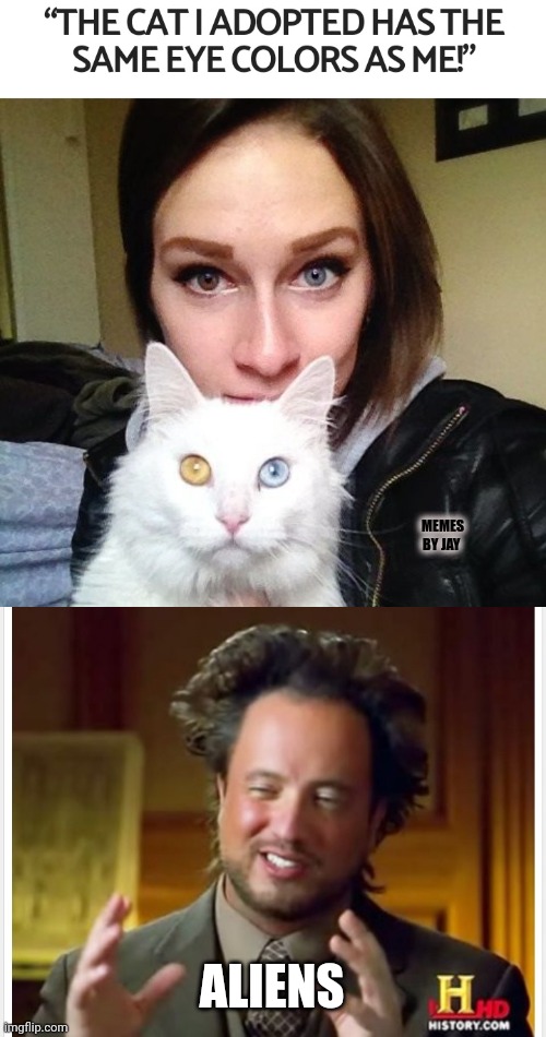 Hmm |  MEMES BY JAY; ALIENS | image tagged in ancient aliens,cats,crazy eyes,adoption | made w/ Imgflip meme maker