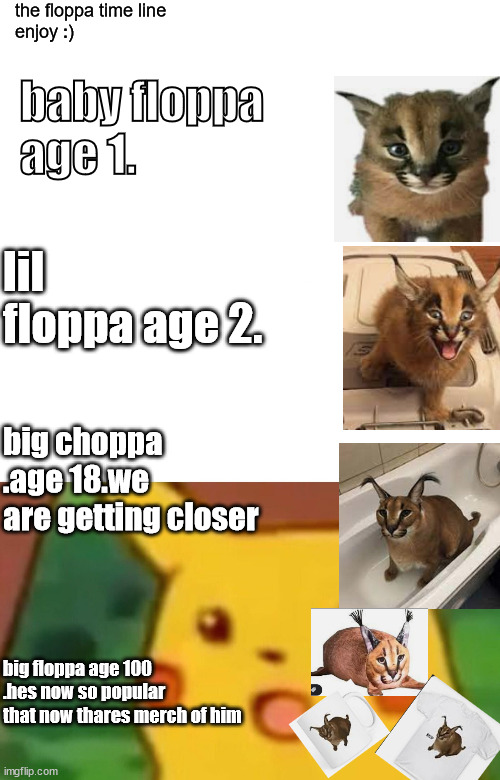 the floppa time line
enjoy :); baby floppa
age 1. lil floppa age 2. big choppa .age 18.we are getting closer; big floppa age 100
.hes now so popular that now thares merch of him | image tagged in memes,surprised pikachu | made w/ Imgflip meme maker