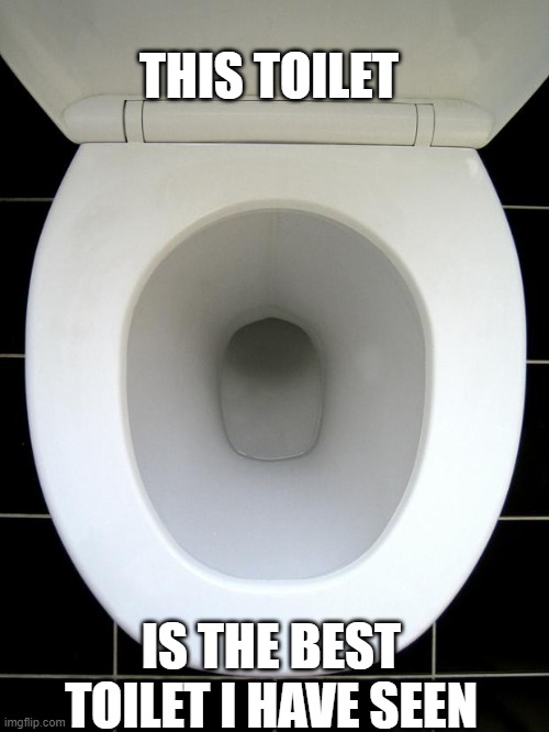 TOILET | THIS TOILET; IS THE BEST TOILET I HAVE SEEN | image tagged in toilet | made w/ Imgflip meme maker