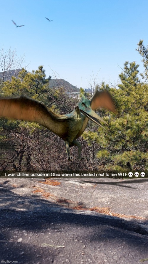 it's dangerous out there | I was chillen outside in Ohio when this landed next to me WTF💀💀💀 | image tagged in ohio,dinosaur | made w/ Imgflip meme maker