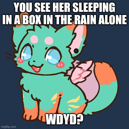 YOU SEE HER SLEEPING IN A BOX IN THE RAIN ALONE; WDYD? | made w/ Imgflip meme maker