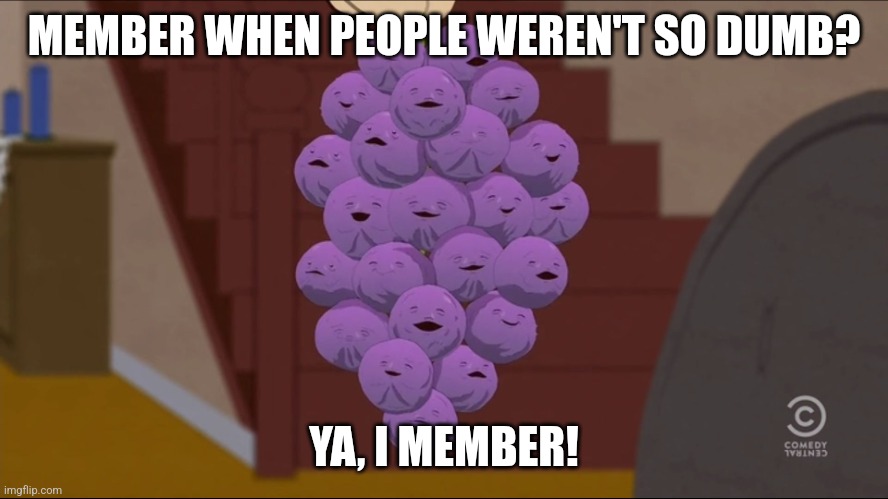 Member Berries | MEMBER WHEN PEOPLE WEREN'T SO DUMB? YA, I MEMBER! | image tagged in memes,member berries | made w/ Imgflip meme maker