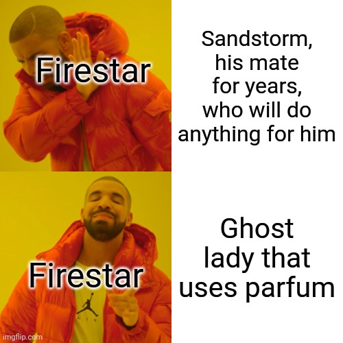 Firestar | Sandstorm, his mate for years, who will do anything for him; Firestar; Ghost lady that uses parfum; Firestar | image tagged in memes,drake hotline bling | made w/ Imgflip meme maker