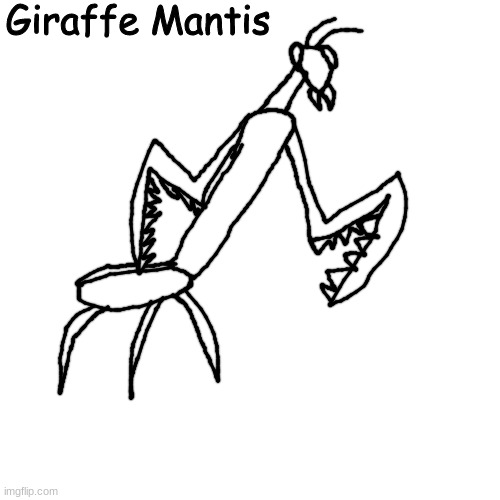 no way omnivorous mantis | Giraffe Mantis | made w/ Imgflip meme maker