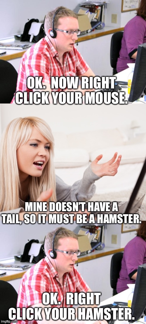The trials and tribulations of being a tech support specialist. | OK.  NOW RIGHT CLICK YOUR MOUSE. MINE DOESN’T HAVE A TAIL, SO IT MUST BE A HAMSTER. OK.  RIGHT CLICK YOUR HAMSTER. | image tagged in tech support,frustrated hot computer girl | made w/ Imgflip meme maker