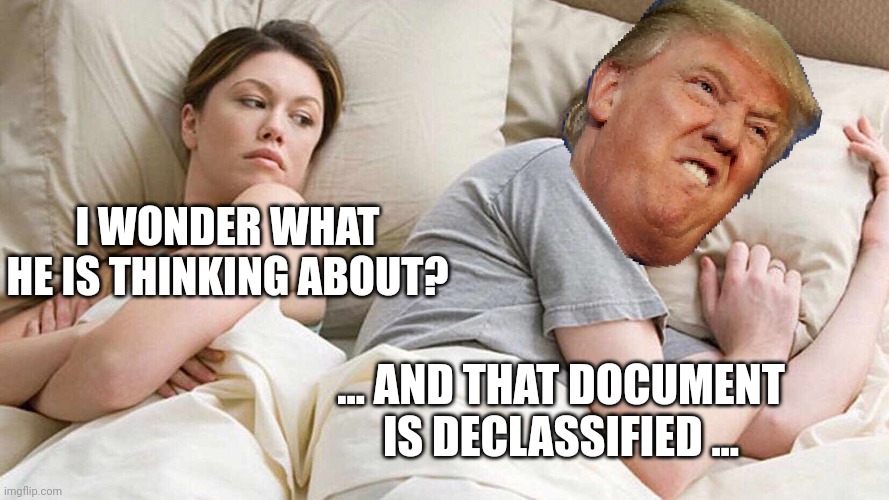 Trump Declassified | I WONDER WHAT HE IS THINKING ABOUT? ... AND THAT DOCUMENT IS DECLASSIFIED ... | image tagged in i wonder what trump is thinking | made w/ Imgflip meme maker