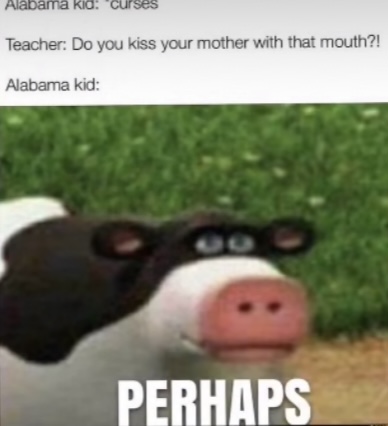 High Quality Perhaps Blank Meme Template