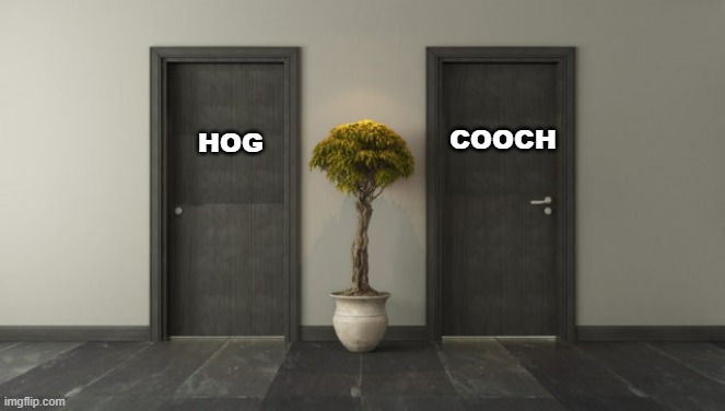 Problem resolved. | COOCH; HOG | image tagged in two doors | made w/ Imgflip meme maker