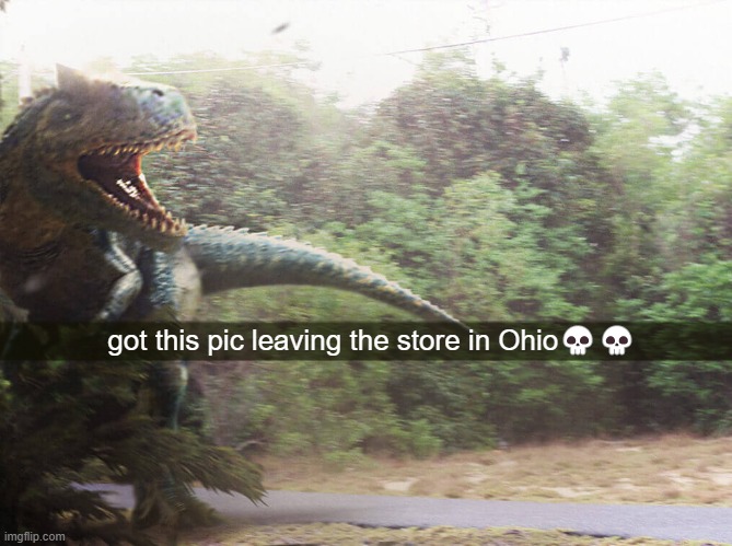 gonna go to the airport in 2 days and leave | got this pic leaving the store in Ohio💀💀 | image tagged in ohio,dinosaur | made w/ Imgflip meme maker