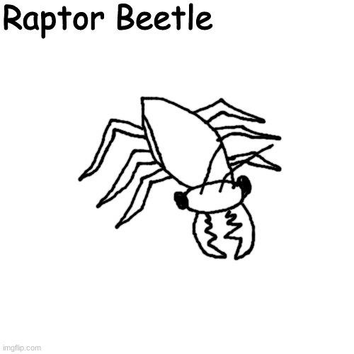 funy | Raptor Beetle | made w/ Imgflip meme maker