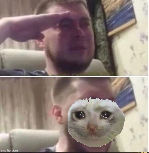 Crying salute | image tagged in crying salute | made w/ Imgflip meme maker