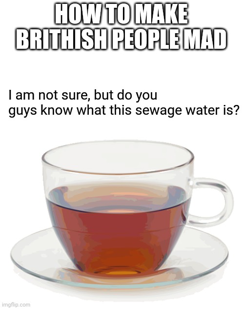 Cup of Tea | HOW TO MAKE BRITHISH PEOPLE MAD; I am not sure, but do you guys know what this sewage water is? | image tagged in cup of tea,funny,memes,british | made w/ Imgflip meme maker