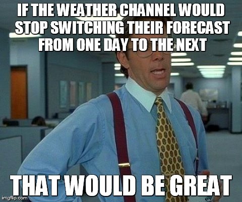 That Would Be Great Meme | IF THE WEATHER CHANNEL WOULD STOP SWITCHING THEIR FORECAST FROM ONE DAY TO THE NEXT THAT WOULD BE GREAT | image tagged in memes,that would be great | made w/ Imgflip meme maker