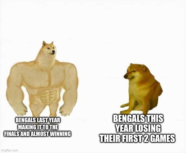 They lost to the Steelers and Cowboys like come on man | BENGALS LAST YEAR MAKING IT TO THE FINALS AND ALMOST WINNING; BENGALS THIS YEAR LOSING THEIR FIRST 2 GAMES | image tagged in strong dog vs weak dog,nfl,bengals,losing,bad | made w/ Imgflip meme maker