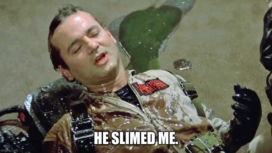 Ghostbusters slime | HE SLIMED ME. | image tagged in ghostbusters slime | made w/ Imgflip meme maker