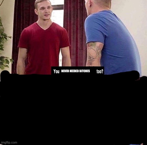 Gay Guys You too | NEVER NEEDED BITCHES | image tagged in gay guys you too | made w/ Imgflip meme maker