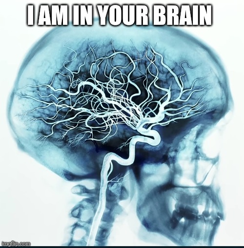 I AM IN YOUR BRAIN | made w/ Imgflip meme maker