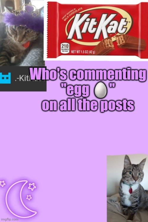 Kittys announcement template kitkat addition | Who's commenting "egg 🥚" on all the posts | image tagged in kittys announcement template kitkat addition | made w/ Imgflip meme maker