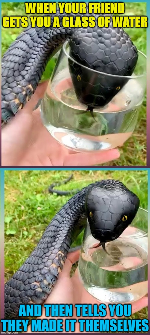 Never trust a teen who speaks parseltongue | WHEN YOUR FRIEND GETS YOU A GLASS OF WATER; AND THEN TELLS YOU THEY MADE IT THEMSELVES | image tagged in memes,snakes,friendship,dark humor | made w/ Imgflip meme maker