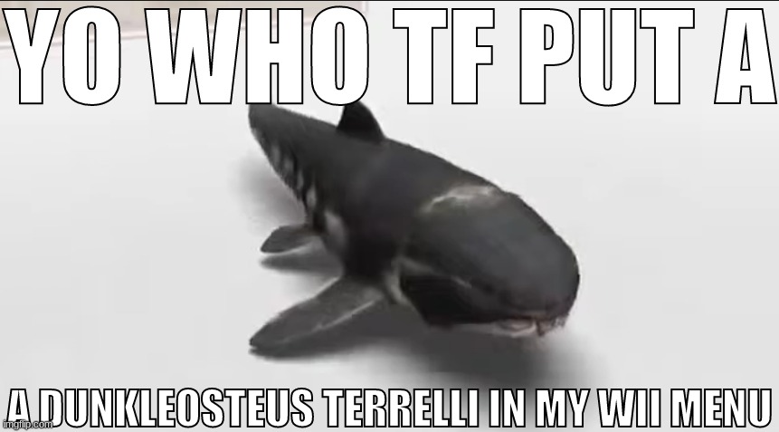 YO WHO TF PUT A; A DUNKLEOSTEUS TERRELLI IN MY WII MENU | made w/ Imgflip meme maker