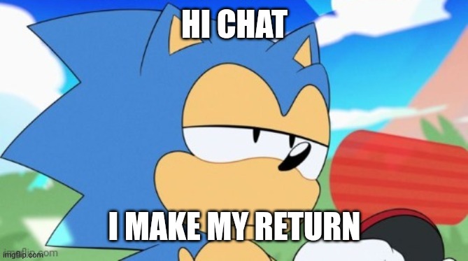 -_- | HI CHAT; I MAKE MY RETURN | image tagged in sonic unamused | made w/ Imgflip meme maker