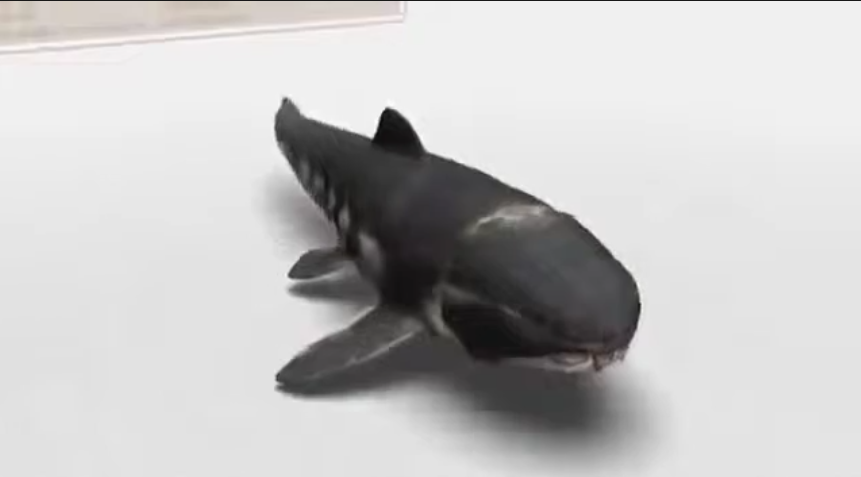 High Quality dunkleosteus in the damn wii menu Blank Meme Template